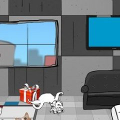 Даже мой кот умеет делать сальто