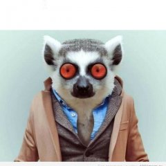 Футбол