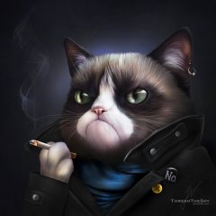 Грампи кэт