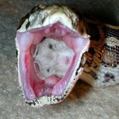 Конец потока