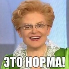 норма