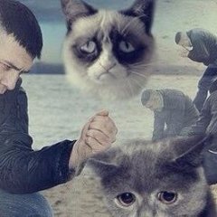 р