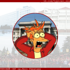Типовий СНУ