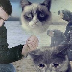 Трагедия ММ