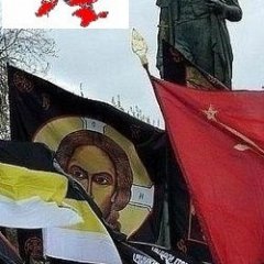 тухлое сало
