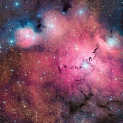 У каждого есть ебанутая подруга 