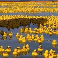 Deal With It Duck