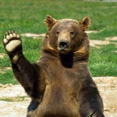 Фарида сама узбагоийся