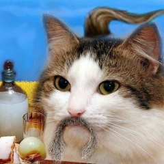 Хохлокit