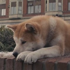 оеав