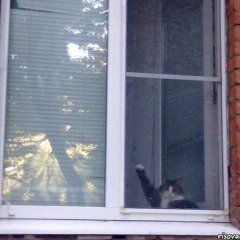 ячсвапп