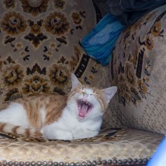 заберите пожалуйста меняот этого