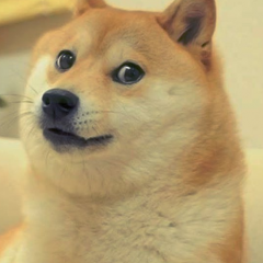 doge woof