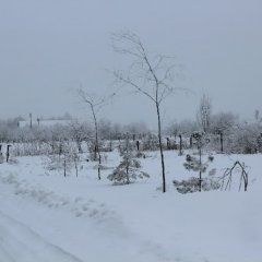 Радуньзима