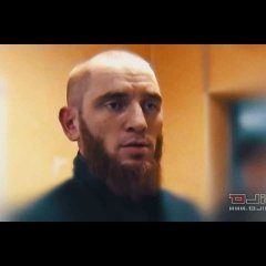 sdsaasad