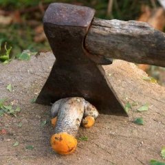 смелее вырубайхуйню из солянки