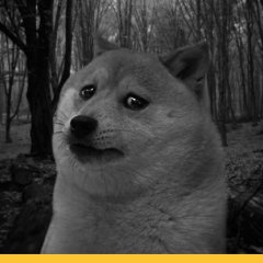 Стас