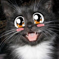 111