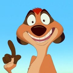 231