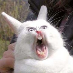 акака