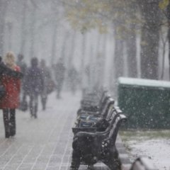 арр