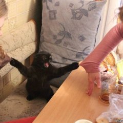 Всем оставаться на своих местах