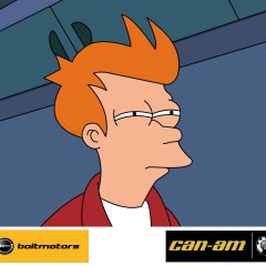 fry