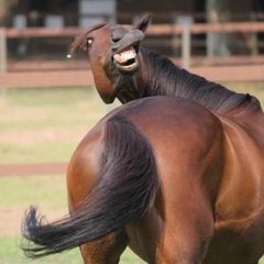 hhhhhhhh