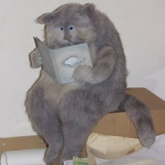 Кот баян