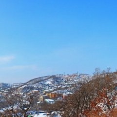 купола