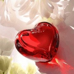 сердечко