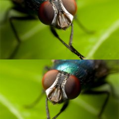 ччччччч