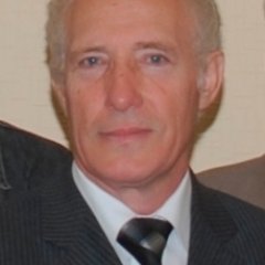 домников