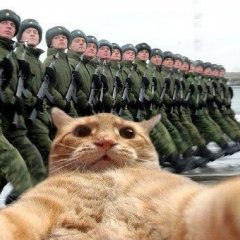  Кэтсвилл в армии