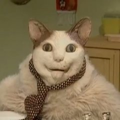 кот-упорот