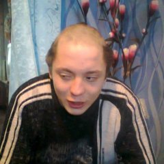 лошак