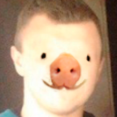 Pigas