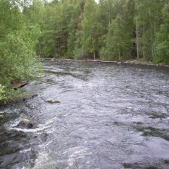 теку