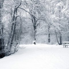 зима