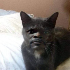 123