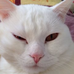 а не