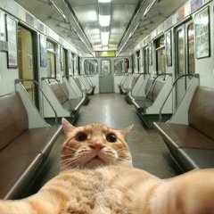 Кэтсвилл в метро