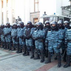 беркут