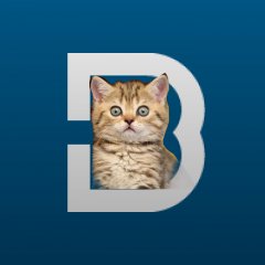 Котик Восточного Варианта