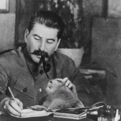 народ по ссылками раскидаюи поко