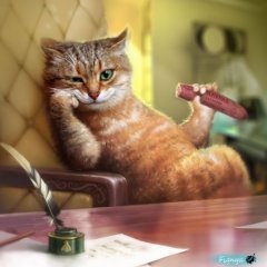 Омский Котэ