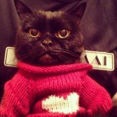 смим
