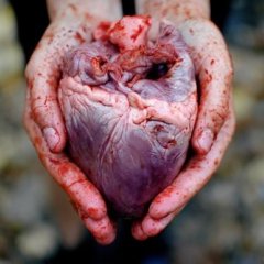 Спасибо от всей грудной полости
