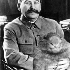 stalin