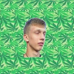 Упорок